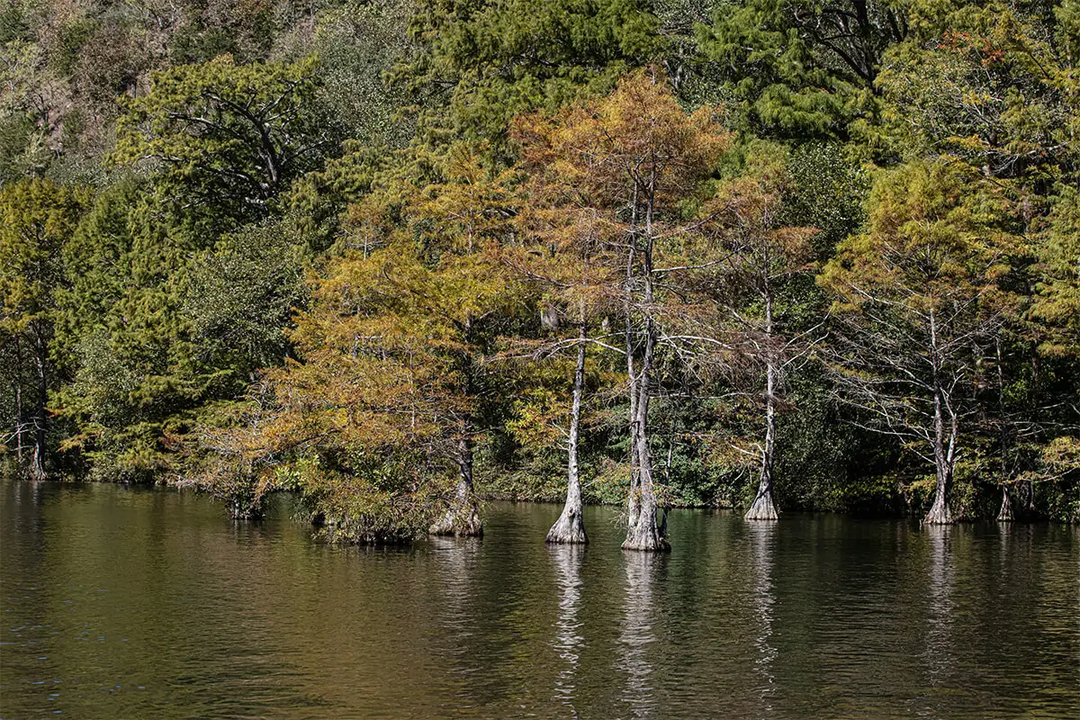 7 Relaxing Things to Do in Hochatown